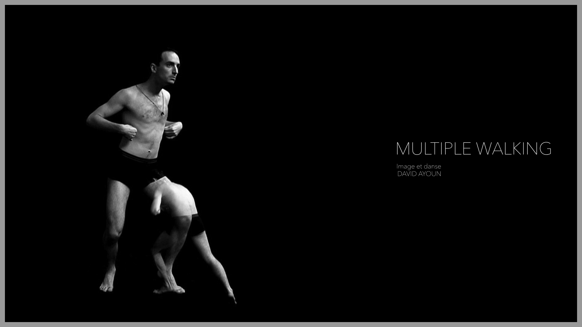 Multiple Walking (2010)